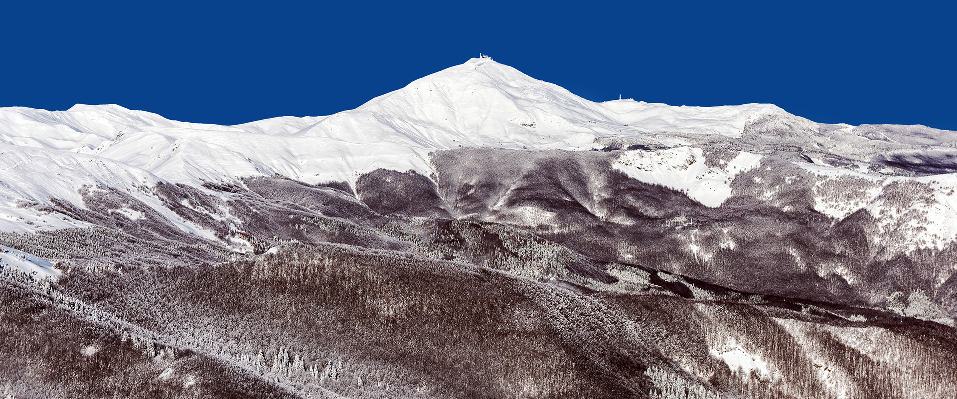 Cimone-Desktop-2 copia 4