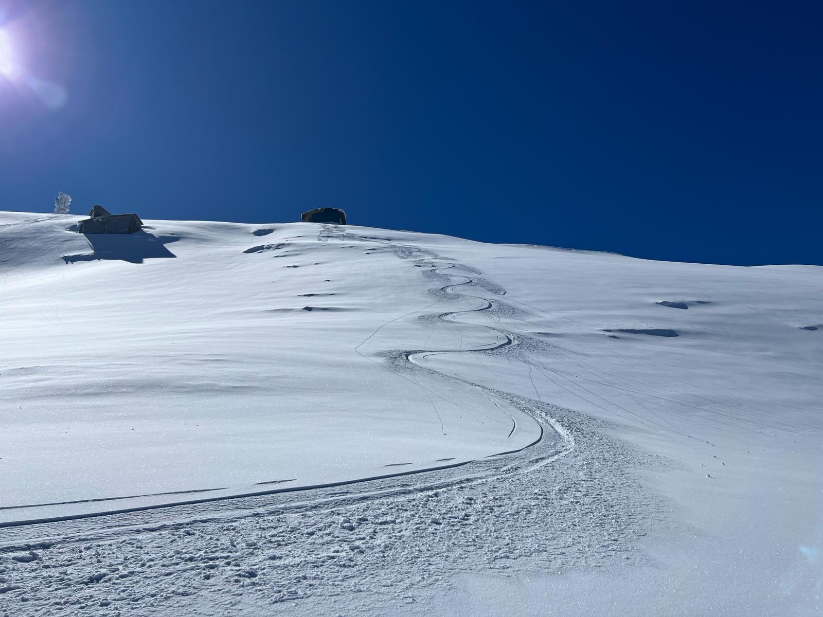 cimonesci 20240312